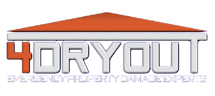 4 dry out logo transparent