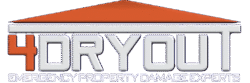 4 dry out logo transparent